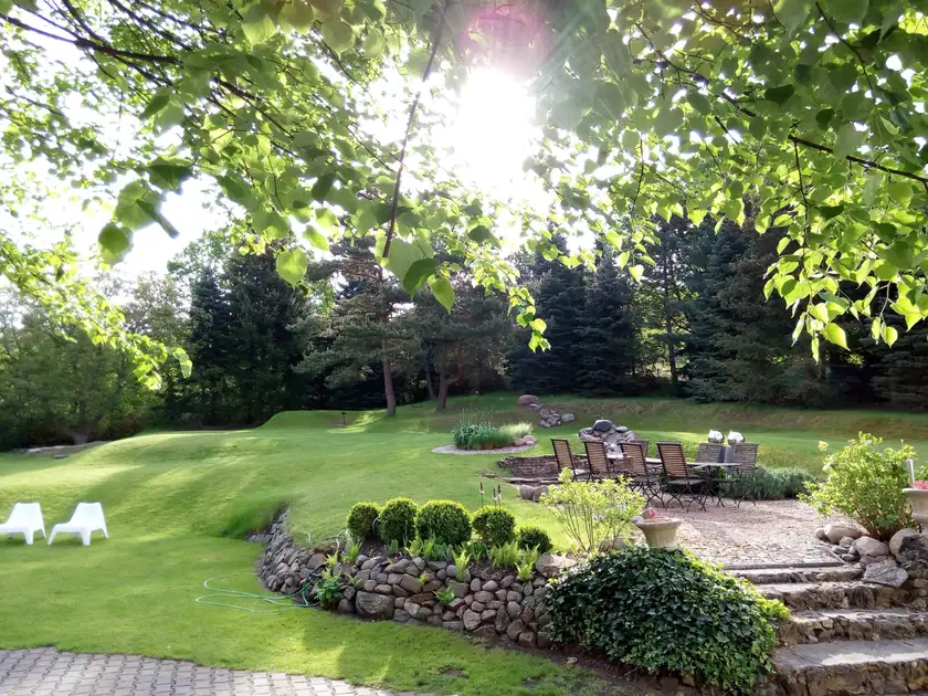 Sitzplatz im Garten unter alten Bäumen im Gegenlicht